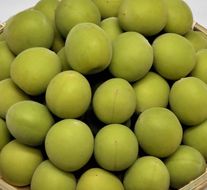 ［梅酒・梅ジュース用］紀州南高梅２ｋｇ（３Ｌサイズ） 304018_AV13