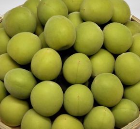 ［梅酒・梅ジュース用］紀州南高梅２ｋｇ（３Ｌサイズ） 304018_AV13