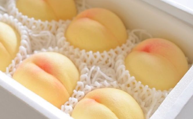 桃 2026年 先行予約 白桃 白鳳 約1.5kg 5～8玉 ご家庭用 フルーツ 果物 岡山 赤磐市産