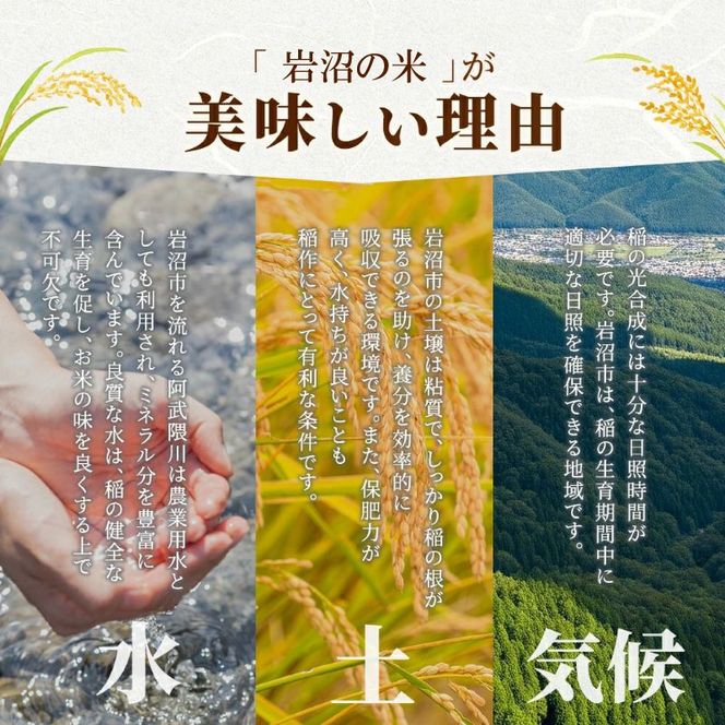 【 令和8年産 】 新米 宮城県産 つや姫 精米 10kg (5kg×2袋) 先行予約 単品 一等米 米 令和8年産 東北米 ふるさと納税 米 お米 白米 新米予約 コメ ライス ご飯 米10kg 10キロ ごはん 美味しい 国産 宮城県 岩沼市 kome okome お取り寄せ 産地直送 東北