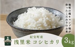 【令和6年産 新米 】 浅里米 コシヒカリ 3kg / 米 こめ お米 おこめ 精米 白米 ご飯 国産 美味しい おいしい ふっくら 新鮮 数量限定 三重県 紀宝町【rkr030】