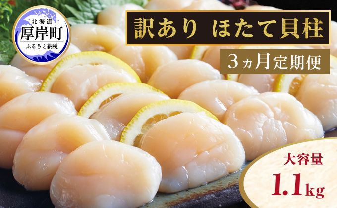 [ 3ヵ月 定期便 ]北海道 訳あり 冷凍 帆立 貝柱 1.1kg (各回1.1kg×3ヶ月分,合計約3.3kg) お刺身 新鮮 魚貝類