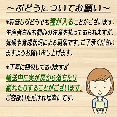 ぶどう2026年 先行予約 岡山 名産 晴王 シャイン マスカット たっぷり2kg！9月上旬以降順次発送 ギフトにも ブドウ 葡萄 岡山県産 国産 フルーツ 果物 ギフト用 贈答用 皮ごと 種なし 産地直送 