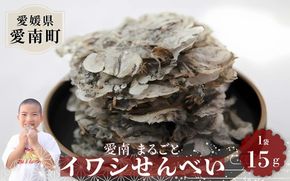 愛南 まるごとイワシせんべい 1袋 15g 伊予乃国 いわし せんべい おつまみ おやつ 海鮮 お酒 父の日 母の日 こどもの日 敬老の日 プレゼント カルシウム 鰯 煎餅 魚 煮干し 3000円 試供品 お試し 少量 愛媛県 愛南町