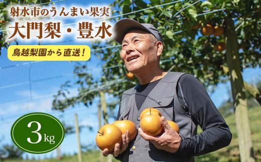 梨 射水の鳥越梨園から直送！【大門梨（豊水）】3kg  果物 フルーツ なし 北陸 富山 ※2026年9月～発送
