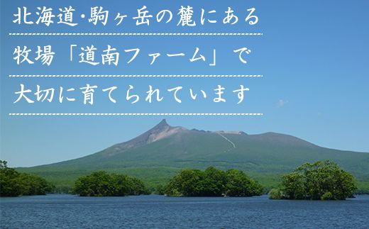 【定期便】北海道産 モモ肉 680g 全6回 毎月お届け 北海道産 肉 赤身肉 鹿部牛