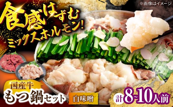 もつ鍋セット(白味噌/8-10人前)《築上町》【吉浦コーポレーション】 もつ鍋 博多もつ鍋 白味噌 国産牛[ABFF021]
