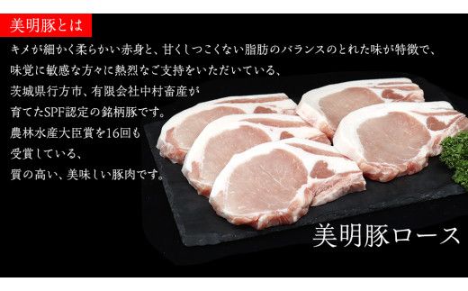 美明豚 × 常陸牛 最高の ステーキセット 約 1.35kg （美明豚ロース 120g ×5枚+常陸牛サーロイン 250g ×3枚）（茨城県共通返礼品：行方市） びめいとん ビメイトン ブランド豚 銘柄豚 豚 豚肉 ブタロース 肉 もも 黒毛和牛 牛肉 ひたち牛 ブランド牛 [EQ020us]