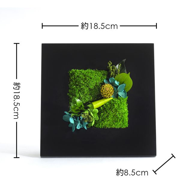 グリーンフレームM 花 お花 プリザーブドフラワー ギフト プレゼント お祝い 誕生日 お供え アレンジ インテリア 東京都 墨田区