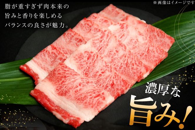 牛肉 仙台黒毛和牛 焼肉用 カルビ バラ 500g [カネダイ 宮城県 気仙沼市 20566331] 肉 和牛 A4 黒毛和牛 焼肉 バラ肉 お肉 国産 ブランド牛 A4ランク 国産牛 おにく ばら肉 旨み 甘み 500グラム