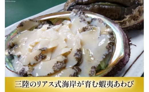 アワビ 鮑 天然蝦夷あわびパック [たみこの海パック 宮城県 南三陸町 30ae0026] 冷凍 セット 高級 豪華 海鮮 天然 パック