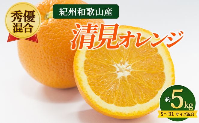 【先行予約】【秀優混合】紀州和歌山産 清見オレンジ 約5kg（箱込み）S～3L サイズ混合