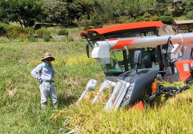 【令和7年産】有機肥料米ナオちゃんのお米【出雲市産きぬむすめ】4kg（1kg×4袋）美味しい お米 贈答 有機栽培 出雲市産 322032_FX001