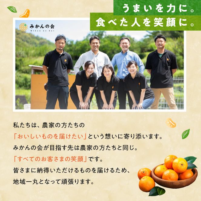 MK1045_2月28日終了！ 最短出荷すぐ届く！みかん Ｍサイズ 秀品 箱込 7.5kg ( 内容量 6.8kg ) 有田みかん 和歌山県産 産地直送 贈答用 【みかんの会】