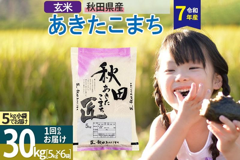 [玄米][令和7年産] 秋田県産 あきたこまち 匠 30kg (5kg×6袋) 30キロ お米|02_snk-021001s