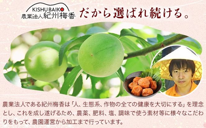 昔ながらの梅干し 訳あり つぶれ梅 約1kg 500g 2パック 農業法人 株式会社紀州梅香《30日以内に出荷予定(土日祝除く)》 和歌山県 日高川町 梅 うめ フルーツ 果物---wshg_kbk5_30d_26_12000_1kg---