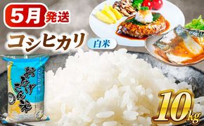 コシヒカリ 白米 10kg / 脇野コンバイン[AECP022-9]