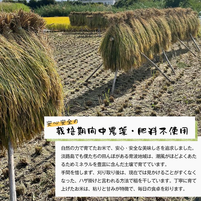 【定期便6ヶ月】自然栽培　コシヒカリ（玄米）　5kg 《無選別品のため訳アリ》