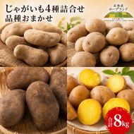 【先行予約】じゃがいも4種詰合せ（品種おまかせ合計8kg）【十勝幕別 北海道ホープランド農場】 野菜 セット 
