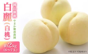 桃 【 2026年 先行予約 】 岡山県産 白麗 （ 白桃 ） 約2kg（6～7玉） 《2026年8月上旬～中旬頃出荷》 白桃 岡山 はくとう フルーツ 果物 先行予約 数量限定 期間限定 里庄町 モモ もも 
