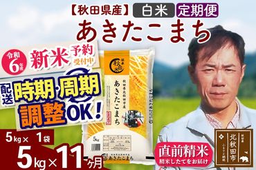 ※令和6年産 新米予約※《定期便11ヶ月》秋田県産 あきたこまち 5kg【白米】(5kg小分け袋) 2024年産 お届け時期選べる お届け周期調整可能 隔月に調整OK お米 みそらファーム|msrf-10311