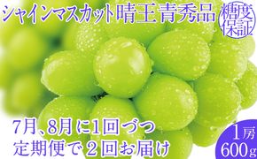 2026年予約受付中【2回定期便】シャインマスカット晴王 1房 約600g 7月8月に出荷 人気 岡山県産 種無し 皮ごと食べる みずみずしい  フレッシュ 晴れの国 おかやま 果物大国 ハレノフルーツ