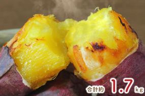 ★訳あり★紅はるか冷凍焼き芋約1.5kg＋おまかせ品種さつまいも　合計約1.7kg｜さつまいも サツマイモ さつま芋 焼き芋 やきいも 冷凍 冷凍焼き芋 訳あり 訳アリ 紅はるか 茨城県 行方市(EY-26)