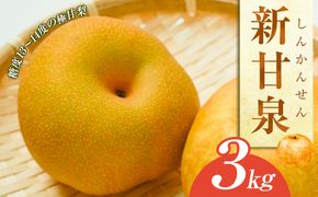 新甘泉（しんかんせん3kg（JA） ※2026年8月中旬～9月上旬頃に順次発送予定 313726_AT008