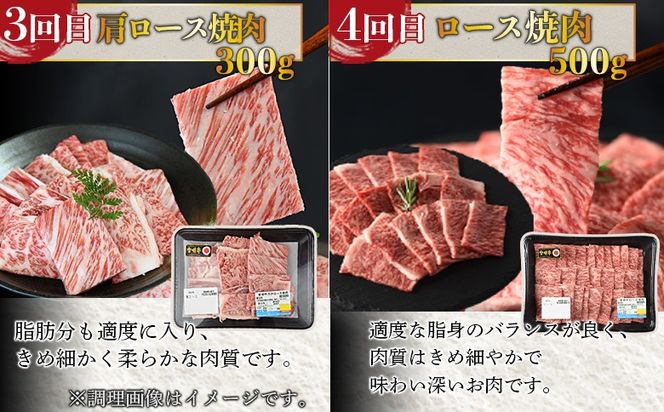 ＜6か月定期便 宮崎牛焼肉・ステーキ 食べ比べコース＞入金確認後、1～3か月以内に第一回目発送【b0412_my_x2】