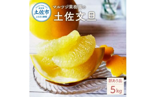 マルツジ果樹園の土佐文旦訳あり品（約5kg） 訳あり 文旦 土佐文旦 ぶんたん ブンタン 期間限定 数量限定  2L～4Lサイズ 7～11個 果物 柑橘 フルーツ 高知県産【マルツジ果樹園】 [BQAN005]