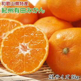 ZD6154n_【2026年先行予約】【秀品】 和歌山 有田みかん 9kg (2Lサイズ)