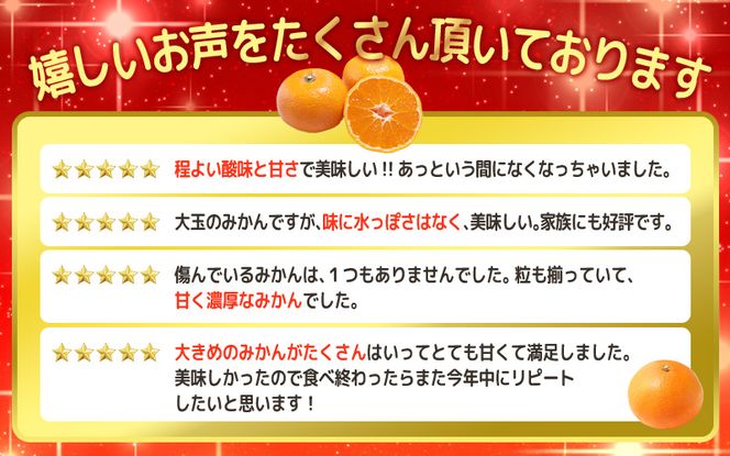 ＼ みかんの名産地 和歌山県産／ 農家直送 大玉 有田みかん 5kg （2L～3L） ひとつひとつ手選別で厳選【2026年11月下旬～2027年1月中旬ごろに順次発送予定】 | みかん フルーツ 果物 くだもの 有田みかん 蜜柑 柑橘【hdm001-1A】