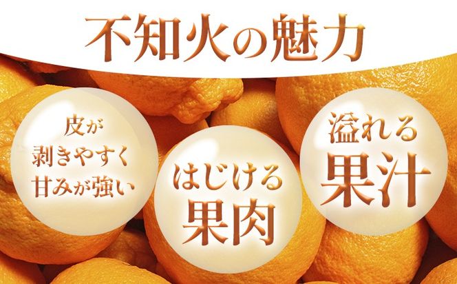 不知火（デコポン同品種） 選べる 内容量 約2kg～約5kg 日本フルーツ株式会社 熊本県 長洲町 《2026年1月下旬-2月末頃出荷予定》 デコポン 果物 秀品 フルーツ スイーツ デザート ギフト ご贈答---sn_nfsrn_cf1_25_8500_2kg---
