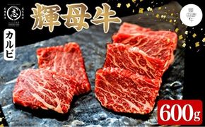 輝母牛焼肉用(カルビ)(3人前600g/600g×1個) b9-005