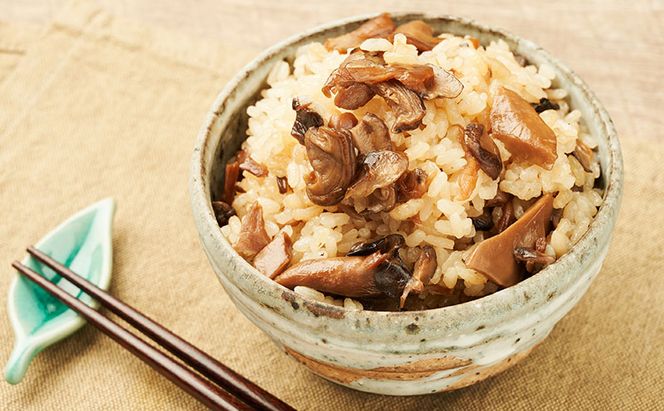 ホクト菌活カレー きのこごはんセット（4種11品） 