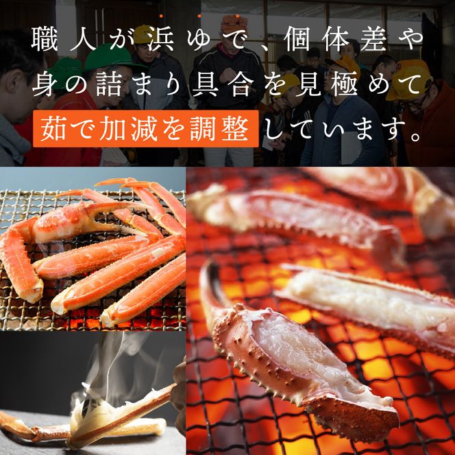 1070.【2026年12月発送】鳥取県産 特撰 親がに 姿【セコガニ】（なま）【訳あり】150g 10杯 313726_BS072