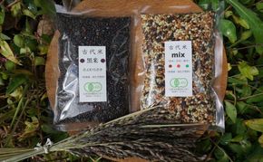 有機JAS認証　栽培期間中農薬不使用　古代米2種類セット［高島屋選定品］ 古代米セット もっちり 黒米 赤米 緑米 食卓 食材 穀物 国産 日本産 