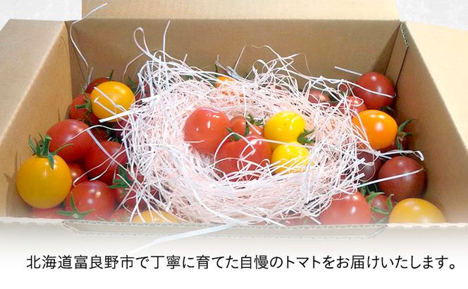 【2026年7月より発送】北海道 富良野市産 完熟ミニトマト（甘っこ）約2kg カラートマト・ぷちぷよ付 トマト 甘い 野菜 新鮮 数量限定 先着順【藏ファーム】