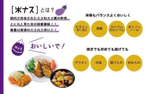 39210-002-0013．【期間限定】デカ！ピカ！ツル！しまんとにしとさ米ナス9玉（約2.7kg）【2026年5月下旬～10月下旬まで発送】