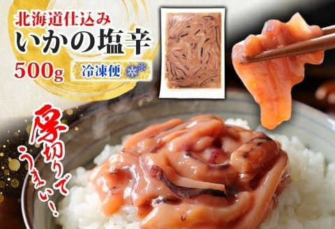 3163. イカの塩辛 500g イカ スルメイカ いか 珍味 海鮮 魚介 送料無料 北海道 弟子屈町
