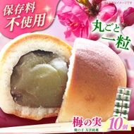 【老舗の菓子屋】築上銘菓「 梅の実 」10 個《築上町》【有限会社 御菓子司 鹿の子】[ABAC018]