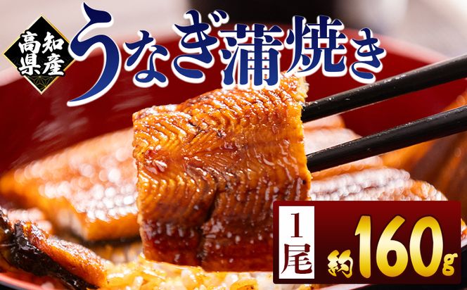 高知県産蒲焼きうなぎ １６０ｇ １尾 fb-0151