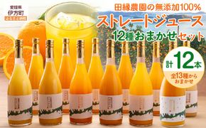 【先行受付】【数量限定】【愛媛県産】田縁農園の無添加100% ストレートジュース12種おまかせセット 720ml 全12種（2026年1月より順次発送） IKTA013