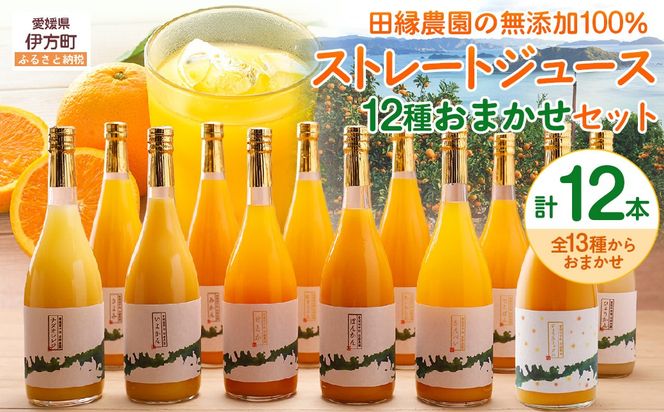 【先行受付】【数量限定】【愛媛県産】田縁農園の無添加100% ストレートジュース12種おまかせセット 720ml 全12種（2026年1月より順次発送） IKTA013
