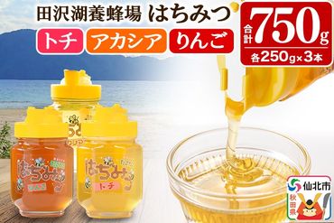 秋田県産はちみつ（アカシア・トチ・リンゴ）250g×各1本 合計750g 化粧箱入り 詰め合わせセット 田沢湖養蜂場|02_tyj-101101