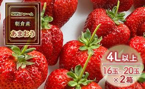 いちご 朝倉市産 あまおう 4L以上 16玉～20玉×2箱 イチゴ 苺 果物 デザート ＜SHINファーム＞ ※配送不可：離島 