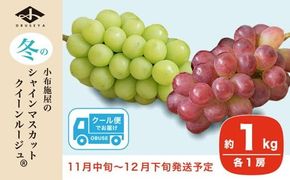 冬のシャインマスカット＆クイーンルージュ® 約1kg 各1房 ［小布施屋］フルーツ 果物 くだもの ぶどう 葡萄 ブドウ クール便 冷蔵 お楽しみ 長野県産 信州産 令和7年産 【2025年11月中旬～12月下旬発送】 ［A-302］