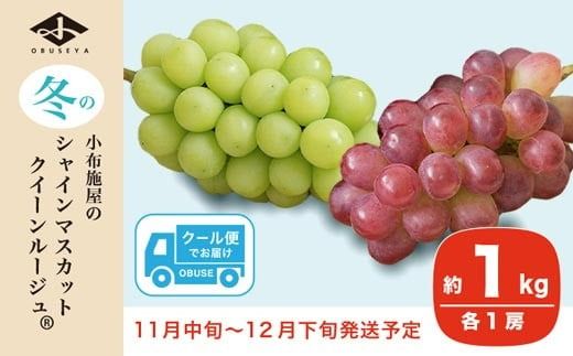 冬のシャインマスカット＆クイーンルージュ® 約1kg 各1房 ［小布施屋］フルーツ 果物 くだもの ぶどう 葡萄 ブドウ クール便 冷蔵 お楽しみ 長野県産 信州産 令和7年産 【2025年11月中旬～12月下旬発送】 ［A-302］