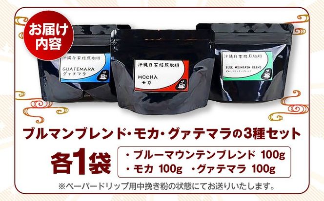【自家焙煎】ブルマンブレンド・モカ・グァテマラの3種セット 珈琲 コーヒー コーヒー豆 ドリップ ギフト 沖縄市 / 沖縄市観光物産センター夢プラザおきなわ[BCBE008]