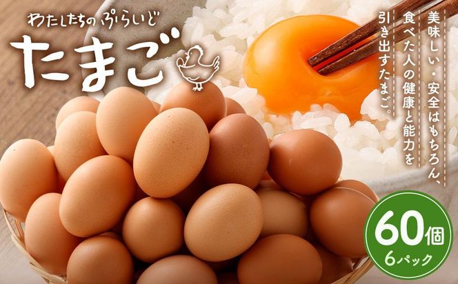 ＜先行予約＞【定期便：6か月】【食べチョクアワード2025 畜産部門 1位の日本一のたまご】単なる平飼いではない究極の卵『わたしたちのぷらいどたまご』6パック（60個）セット 141305_GX06